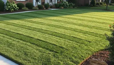 Professional lawn striping and edging by Chop Chop Landscaping in Cincinnati, OH